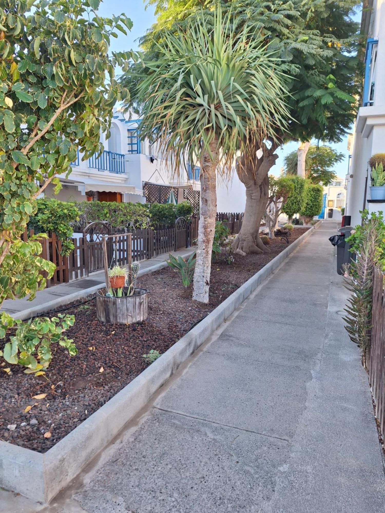 Poolfront Bungalow Playa del Ingles  Dış mekan fotoğraf